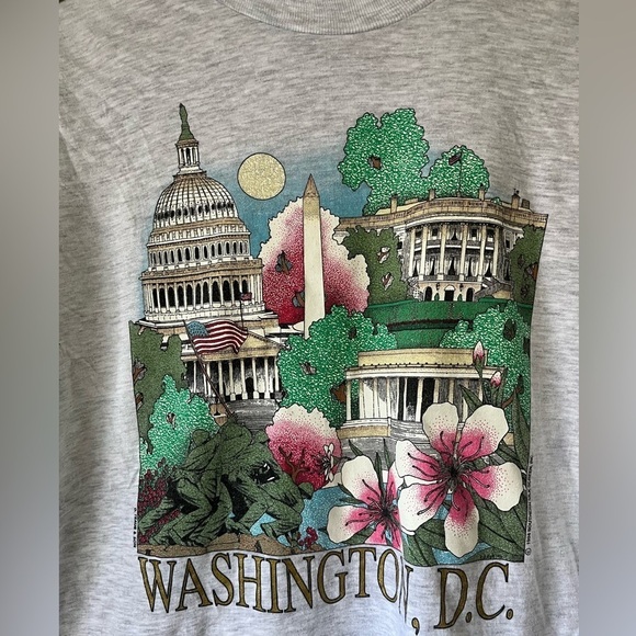 Vintage Single Stitch Washington DC Graphic Print Hanes Beefy T Gray T-Shirt - Picture 2 of 7
